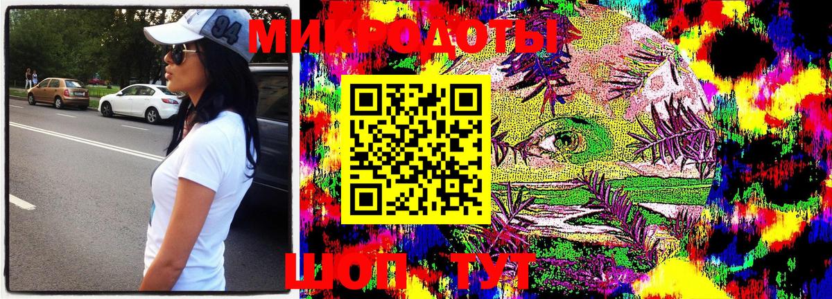 что такое наркотик  Вход с VPN  Курчалой  Галлюциногенные грибы Psilocybe  Псилоцибиновые грибы мухоморы 