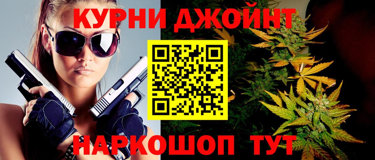Каннабис индика Курчалой